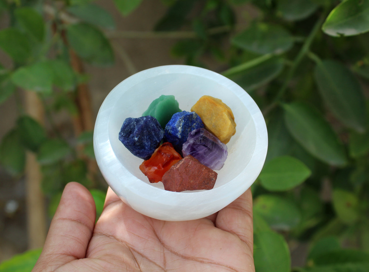 Natural Selenite Bowl with 7 Chakra Raw Stones